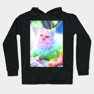 Unicorn Rainbow Cat Hoodie